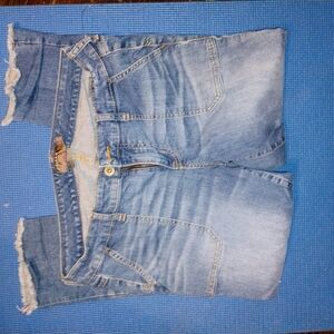 Torrid Light Blue Straight Leg Jeans